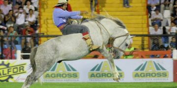 El primer relincho de doma y folklore