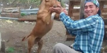 Caso Rafael Nahuel: procesan a cinco prefectos