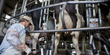 La crisis lechera se profundizó en 2018