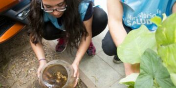 Aumentó la presencia de aedes aegypti