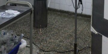 Un video reveló la presencia de ratas en el Hospital de Niños