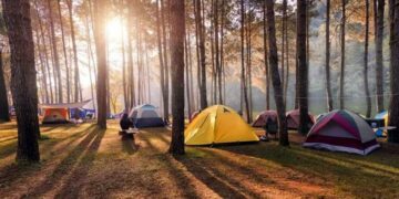 Cómo prevenir el contagio de hantavirus en las vacaciones