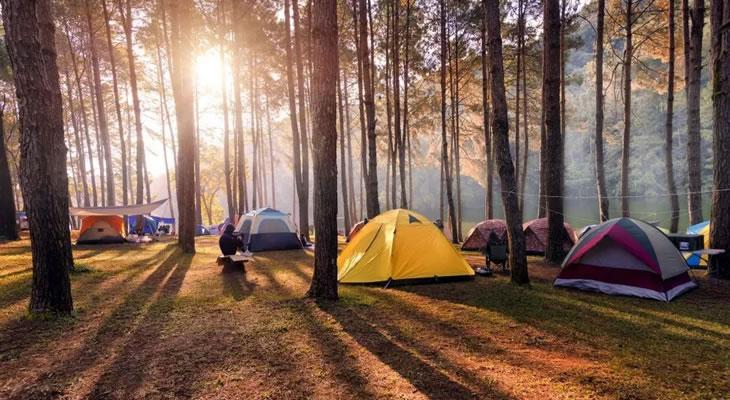 Cómo prevenir el contagio de hantavirus en las vacaciones Cómo prevenir el contagio de hantavirus en las vacaciones