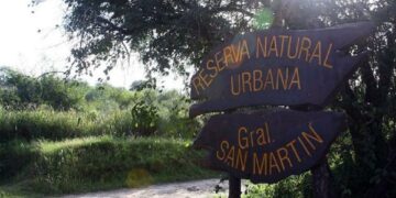Denuncian que el partido de las Leonas dañará la Reserva San Martín