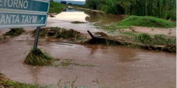 Residuos peligrosos: denuncian el desborde de la planta de Taym