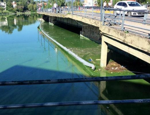Alerta por el nivel de toxicidad del agua en el lago San Roque