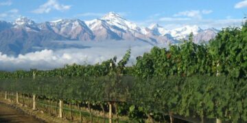 La baja de las cargas patronales es “insuficiente” para la UIA