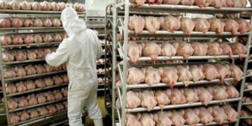 El consumo de carne aviar cayó 3,1% en 2018
