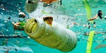 Alerta por la presencia de plástico en el océano profundo