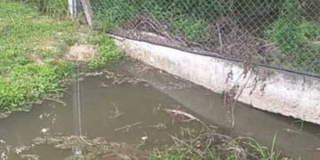 Labraron nuevas actas por vertidos contaminantes en el San Roque