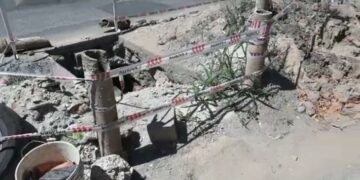 La reparación de una calle se demoró y crecieron plantas en la obra