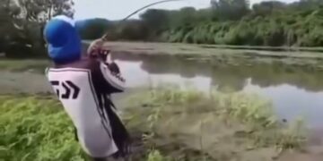 Sacó un pez del río, pero detrás venía un cocodrilo