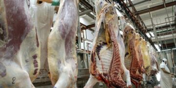 El consumo de carne vacuna en el país cae al nivel más bajo de la historia