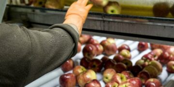 Queja de Río Negro por dejar a las frutas fuera de Precios Esenciales