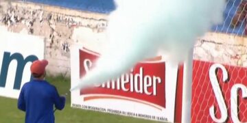 Insólito: casi suspenden el partido de Almagro-Temperley por una invasión de abejas