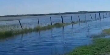 Denuncian una dramática situación en los tambos del este cordobés