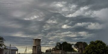 Advierten sobre el aumento global del dióxido de carbono