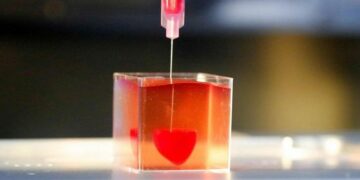 Así se imprimió el primer corazón con vasos sanguíneos