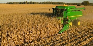 Córdoba se convirtió en el octavo productor mundial de maíz