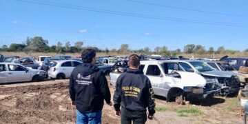 Encontraron 1.000 automóviles en un desarmadero Ilegal en Colonia Caroya