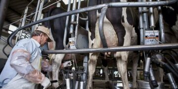 El sector tambero espera un buen año