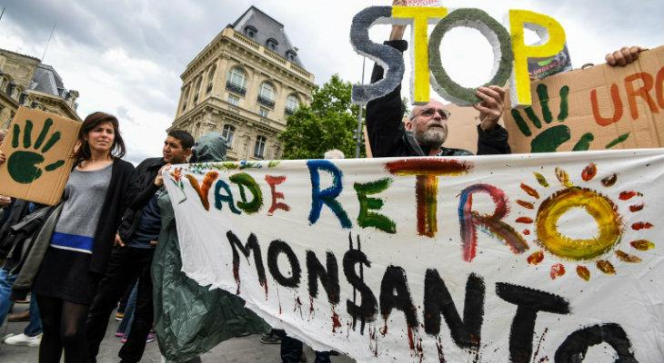 Monsanto espió a personas de al menos ochos países de la UE Monsanto espió a personas de al menos ochos países de la UE