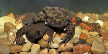 El entorno terrestre está gravemente alterado por la actividad humana