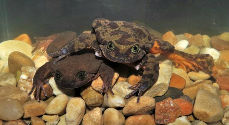 El entorno terrestre está gravemente alterado por la actividad humana El entorno terrestre está gravemente alterado por la actividad humana