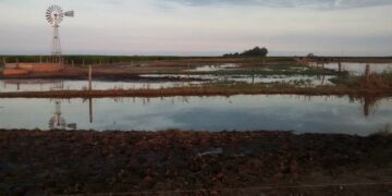 La Provincia declarará la emergencia en los campos inundados