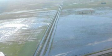 Productores dicen estar «hartos» por las inundaciones