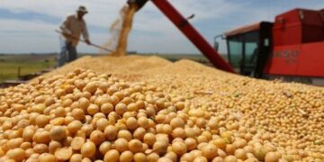 Pese al agro, cae la economía