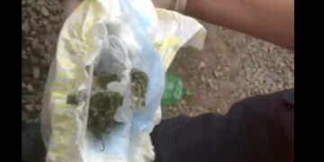 Quiso ingresar marihuana a la cancha en un pañal de su bebé