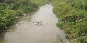 Además de viagra, encuentran drogas en los ríos argentinos