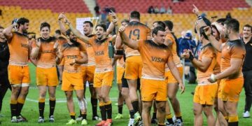 Acarician la clasificación