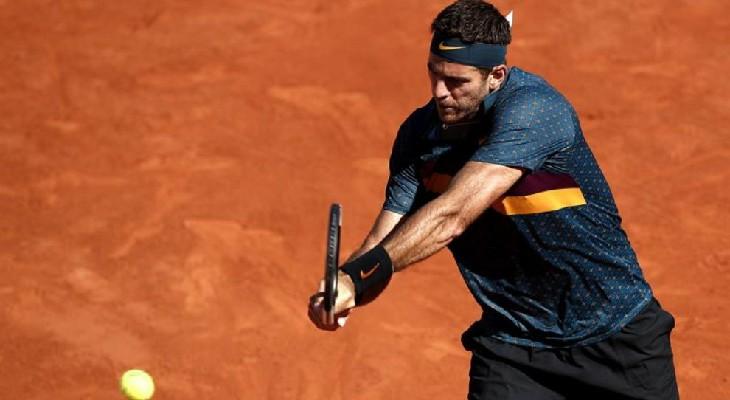 Del Potro en octavos de Roland Garros Del Potro en octavos de Roland Garros