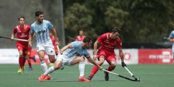 Derrota de los Leones ante Bélgica