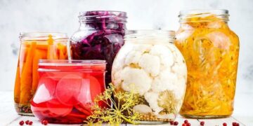 Descubren cómo los alimentos fermentados ayudan al sistema inmunitario