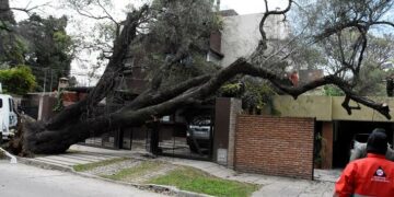 Frío, viento y «garrotillo» en un martes bien de invierno en Córdoba