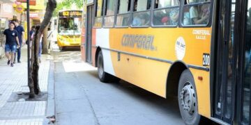 Este es el esquema de servicios municipales para hoy