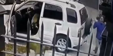 Dos perros salvaron a su dueño de un asalto a punta de pistola