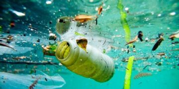 Comemos el peso en plástico de una tarjeta Red Bus por semana