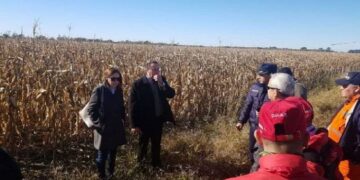 Hallaron muerta a una mujer desaparecida en Villa María