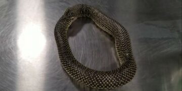 Una víbora intentó comerse a sí misma y terminó así