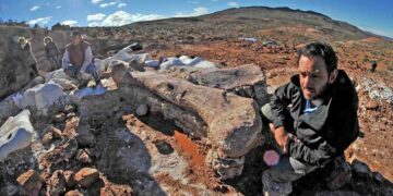 Es falso lo que se afirma en el video donde se asocian restos de un dinosaurio argentino con CFK