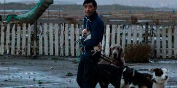 Llegan los estrenos al cineclub