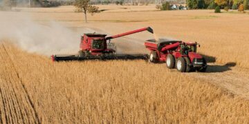 Desde la Bolsa de Cereales anticipan una cosecha récord