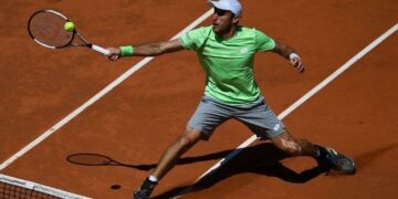 Un Yacaré hambriento