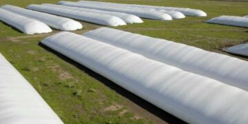 El campo cortó una racha de 12 meses de retracción económica