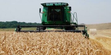 La liquidación se mantiene baja pese a la cosecha récord