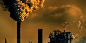 El aire contaminado se cobra seis millones de vidas por año